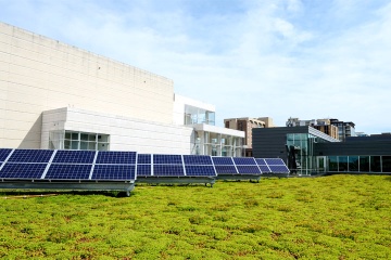 Solar panels on a green roof.